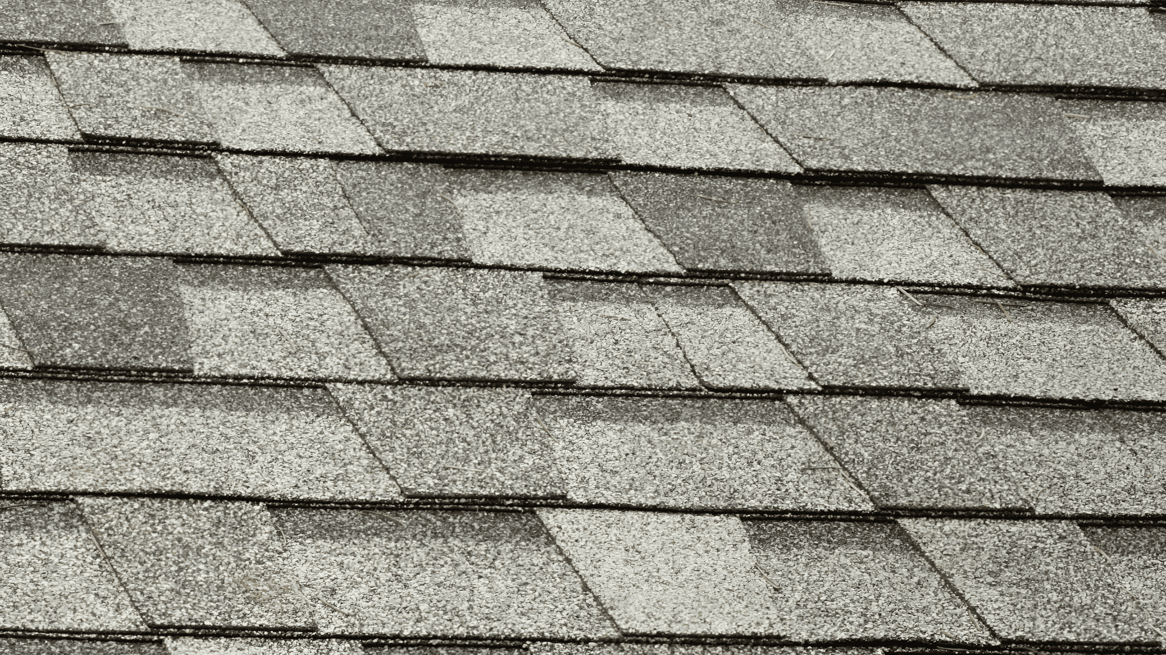 Shingle roof replacement in Palm Bay